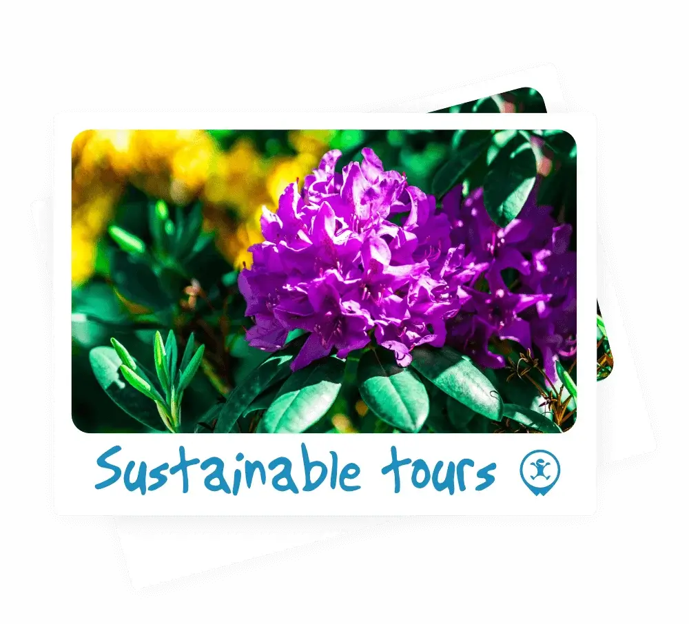 Sustainable tours